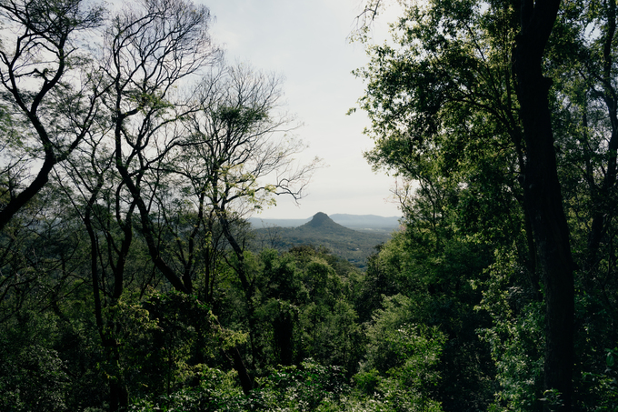 Vista panorámica de vegetación paraguaya